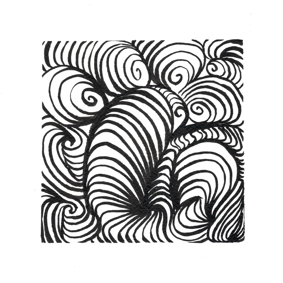 Muschelmuster, Tusche auf Papier, 18 x 18 cm * Shell Pattern, ink on paper, 7 x 7 in © 2026 by Jutta Blühberger www.heiterundgelassen.at / www.juttabluehberger.at (660811) Passepartout 20x20