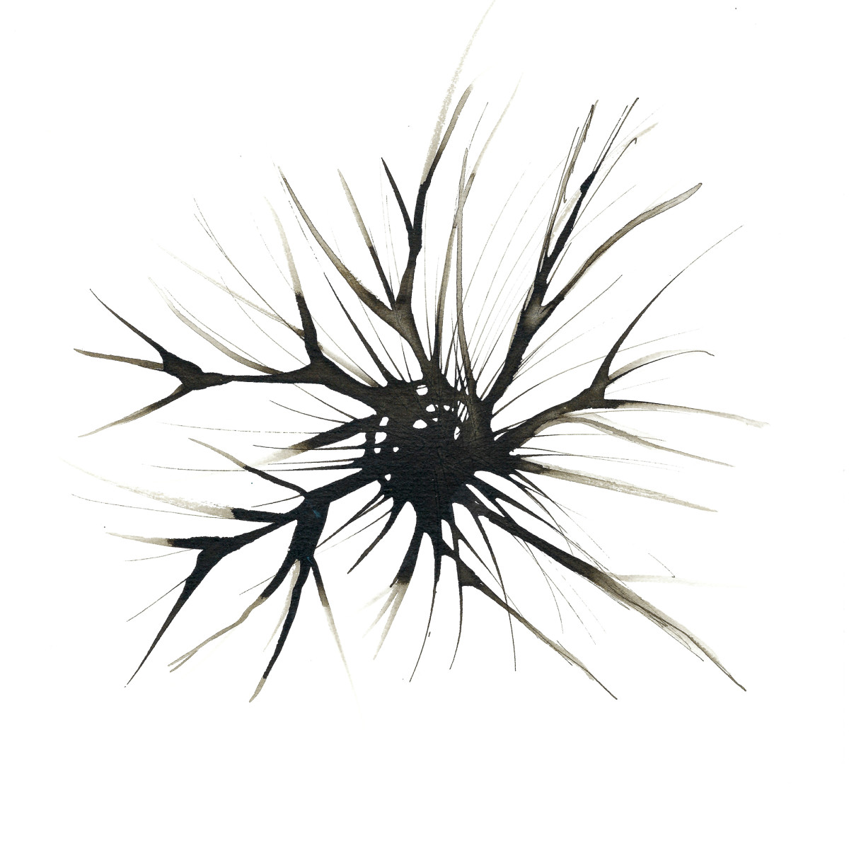 660728 Distel